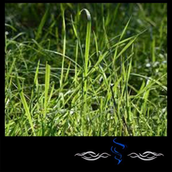 LEVOIT Purificador de Aire con Filtro HEPA H13